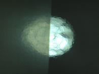 特殊艶ボディ作製作品集